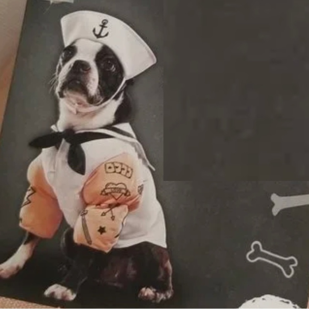Sailor Dog Costume Size Large